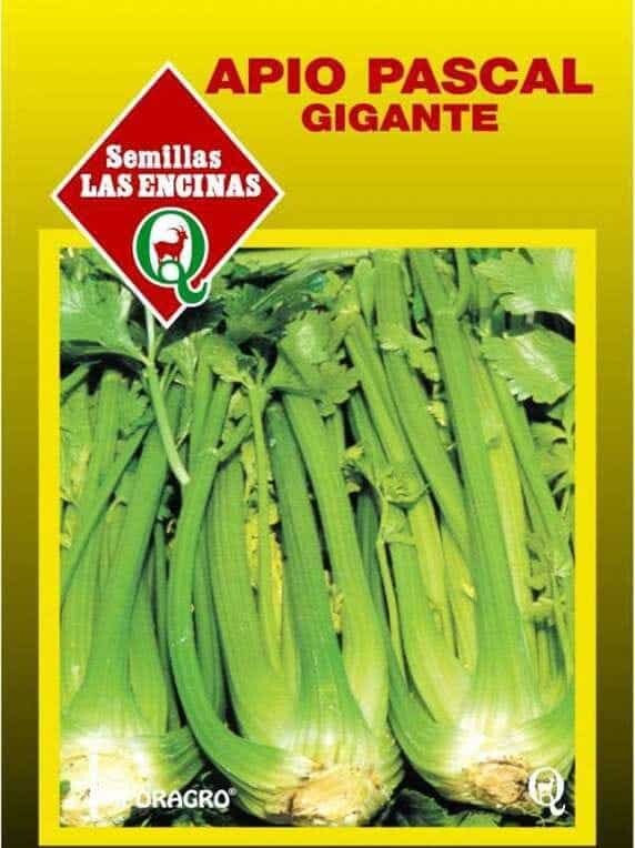 01f24c3e4d607af80f725faef170ca1a_Semillas_de_Apio_Pascal_23445.jpeg