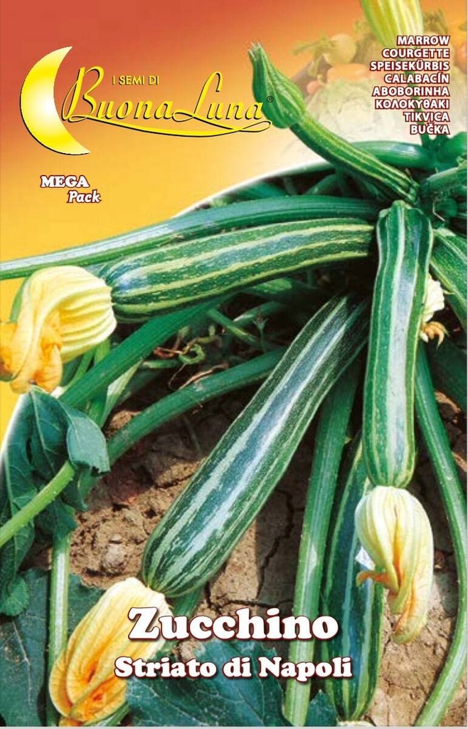 0f524821e85d827e54d80a8b5b572223_Semillas_De_Zapallo_Estriado_De_Napoles_45512.jpeg