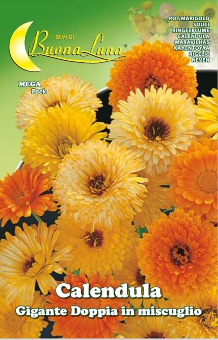 Semillas De Calendula Gigante Doble Mix