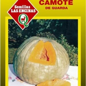 Semillas de Zapallo Camote de Guarda