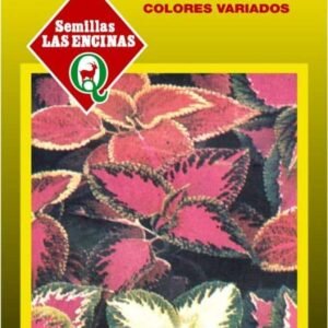 Semillas De Coleus