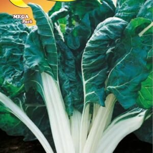 Semillas De Acelga Verde Costa Larga Plata 2