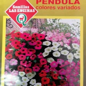 Semillas de Petunia Pendula Colores Variados