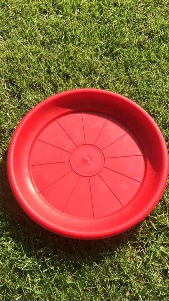 Plato Para Macetero Redondo P35 Color Rojo