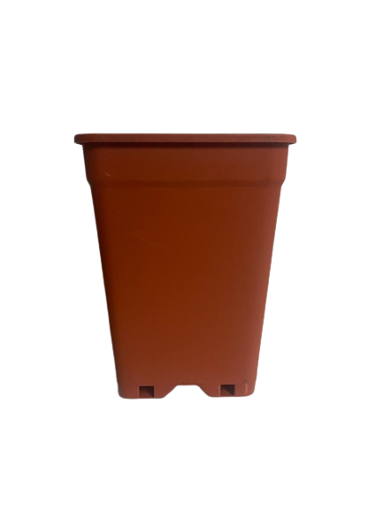 Macetero Rectangular 18x24.5cm Color Terracota