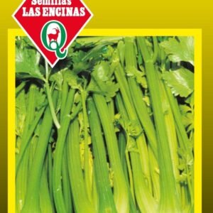 Semillas de Apio Pascal Gigante 250 Grs