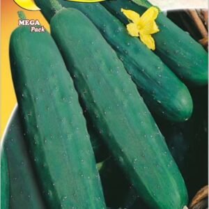 Semillas De Pepino Marketmore