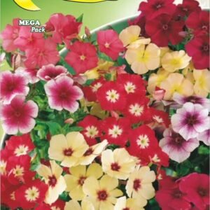 Semillas De Phlox