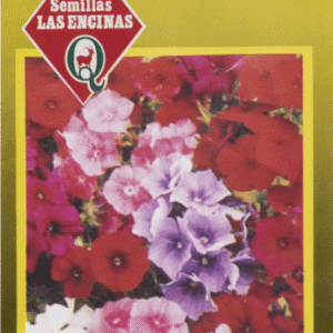 Semillas de Phlox