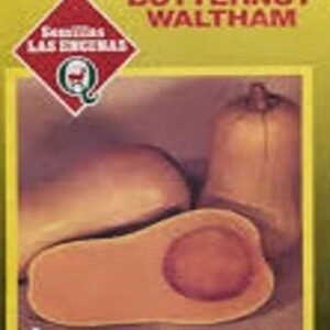 Semillas de Zapallo Butternut