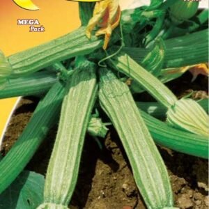 Semillas De Zapallo Romanesco