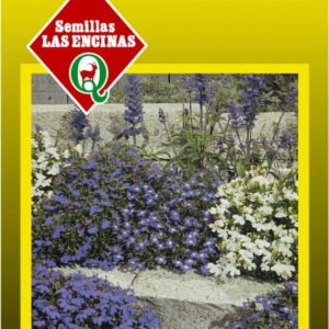 Semillas de Lobelia