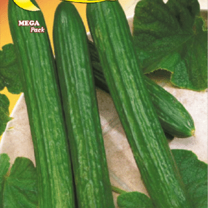 Semillas De Pepino Telégrafo Mejorado