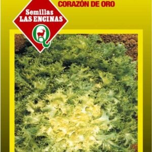 Semillas de Achicoria Corazón de Oro