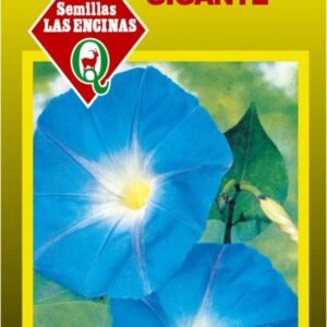Semillas de Suspiro Azul
