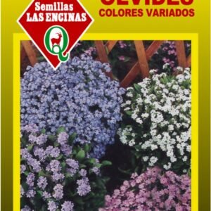 Semillas de Myosotis (No me olvides)