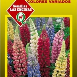 Semillas de Lupinus