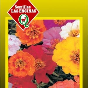 Semillas de Portulaca