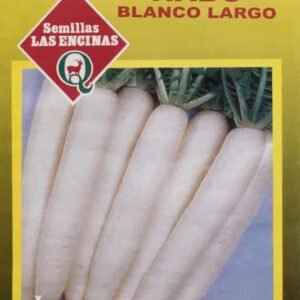 Semillas de Nabo Blanco