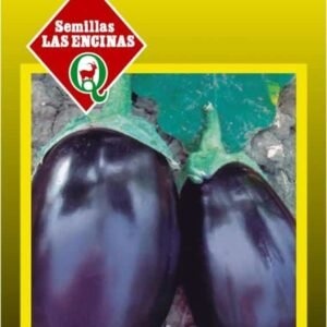 Semillas de Berenjena Morada