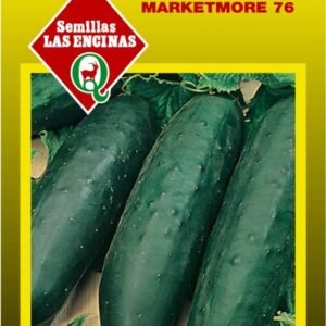 Semillas de Pepino Marketmore 76