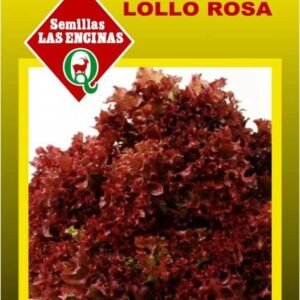 Semillas de Lechuga Lollo Rossa