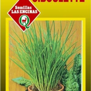Semillas de Ciboulette