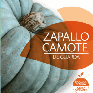 Semillas de Zapallo Camote de Guarda
