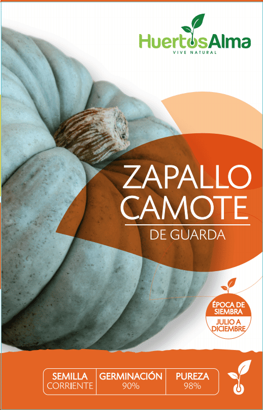 Semillas de Zapallo Camote de Guarda