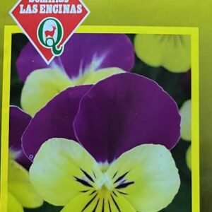 Semillas de Viola Cornuta
