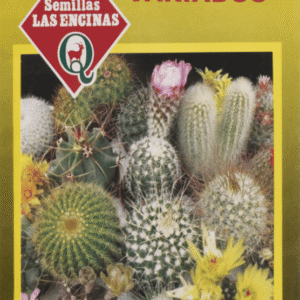 Semillas de Cactus Variado