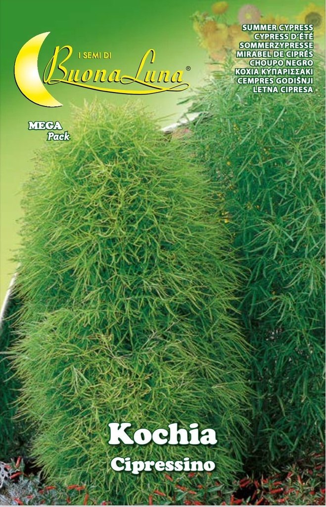 Semillas De Mirabel De Ciprés
