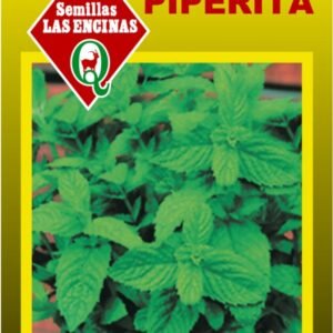 Semillas de Menta