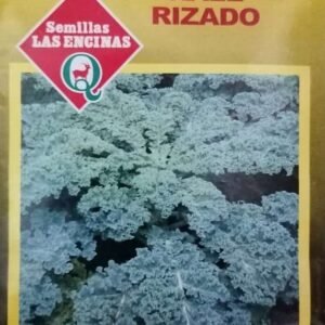 Semillas de Kale Rizado