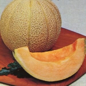 Semillas de Melón Cataloupe Topmark (Carne rosada) 100 Grs