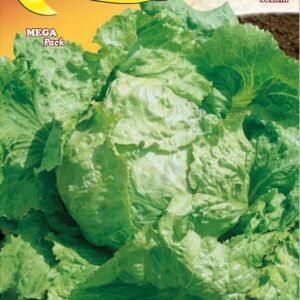 Semillas De Lechuga Batavia Rubia De París