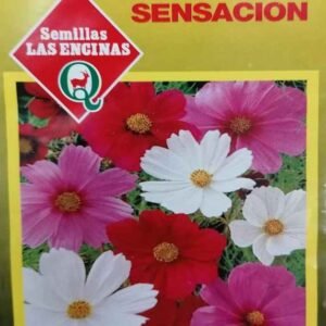 Semillas De Cosmos Sensación