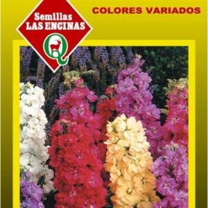 Semillas de Alelí
