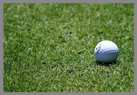 Semilla Mezcla Royal Golf 10 Kilos (Textura Media Fina, verde, oscura, tipo fairway)
