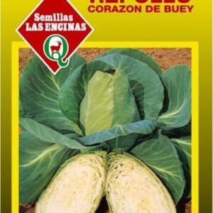 Semillas de Repollo Blanco Corazón de Buey Grande 100 Grs