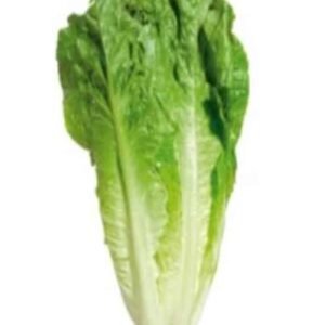 Semillas de Lechuga Costina Parris Island 500 Grs