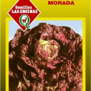 Semillas de Lechuga Morada 4 Estaciones