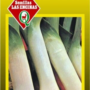 Semillas de Puerro Largo Grueso Carentán 100 Grs
