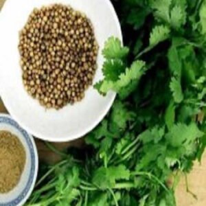 Cilantro Long Standing, Semilla Partida 1 Kilo