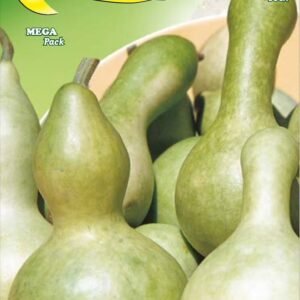 Semillas De Calabaza De Botella