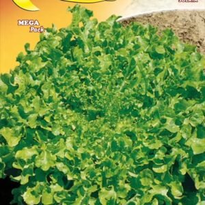 Semillas De Lechuga Salad Bowl