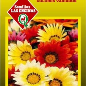Semillas De Gazania