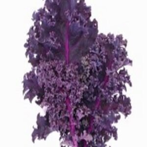 Curly Kale, Liso Y Crespo, Verde Rojo 500 Grs
