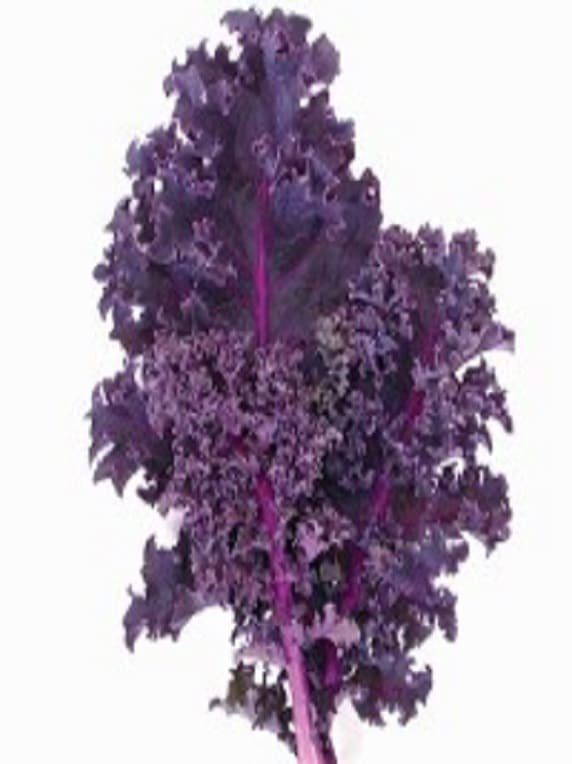 Curly Kale, Liso Y Crespo, Verde Rojo 500 Grs