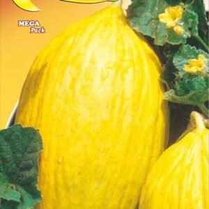Semillas De Melón Jaune Canari 3